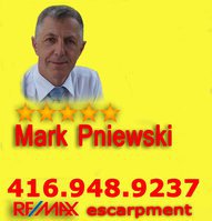 Mark Pniewski - RE/Max Escarpment Realty 
