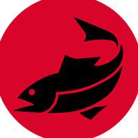 Travelfish
